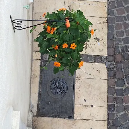 Bed & Breakfast Le Chablis La Ciotat